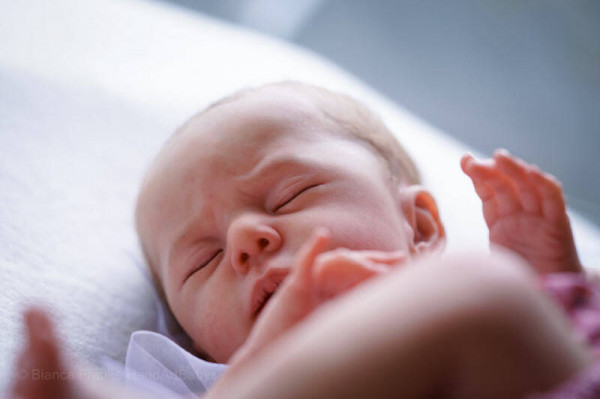 Kit de naissance Luise - karola wegerich Photo du produit