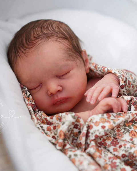 Flora reborn kit - priscilla lopez Photo du produit