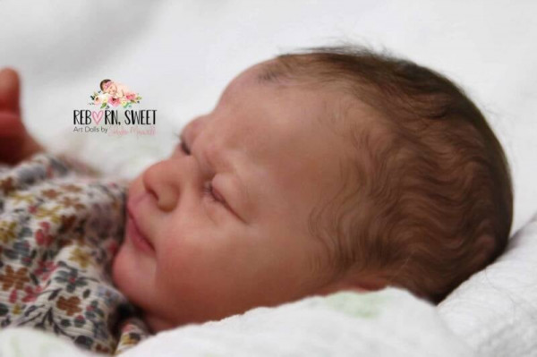 Kit Angélique joy reborn - doris moyer hornbows Photo du produit