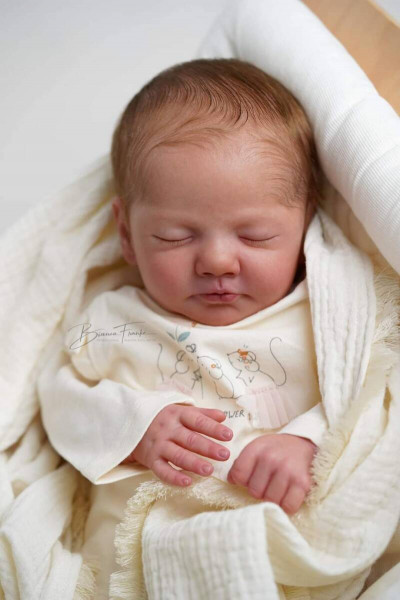 Kit reborn fiory - elisa marx product foto