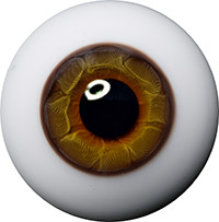 Ojos planos de figuras Lauschaer - avellana - 24mm 29,95 € Foto del producto