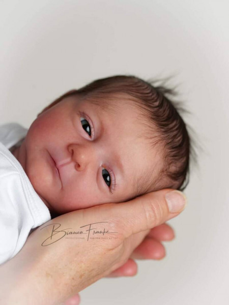 Kit de renaissance Melissa - Viviane Aleluia Photo du produit