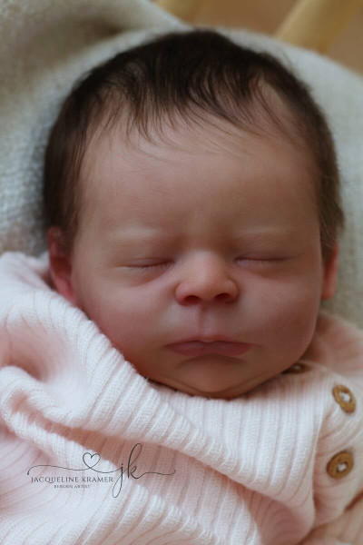 Kit de renaissance d'Esra - Mélanie Gebhardt Photo du produit