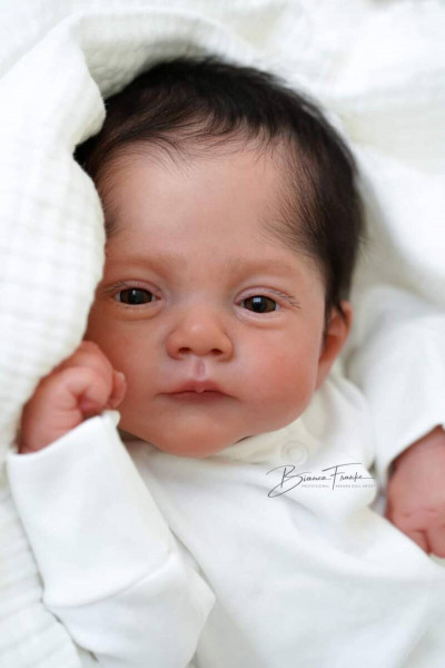 Lily reborn kit - joana kazmierczak pietka product foto