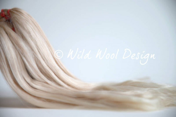 Alpaga Suri en laine sauvage - blond moyen photo du produit