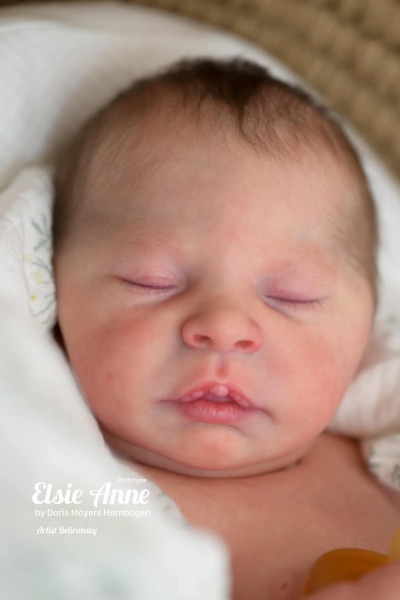 Elsie Anne - Doris Moyers-Hornborgen Photo du produit