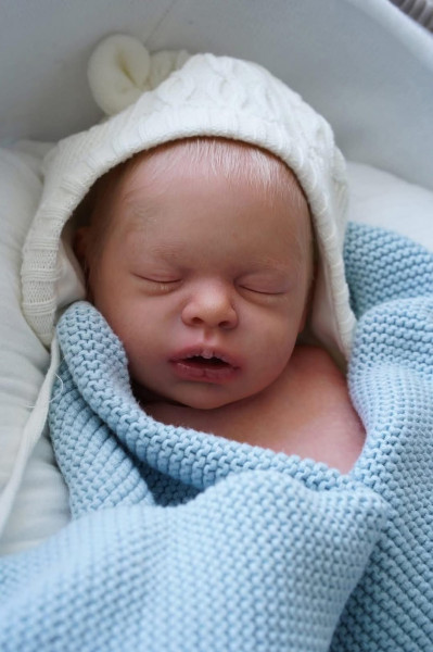 Pré-order Rachele - Eva Brilli product foto