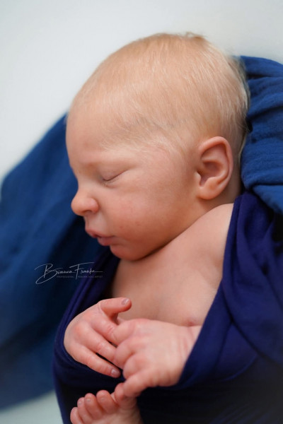 Reserva Elsie Anne - Doris Moyers-Hornborgen product foto