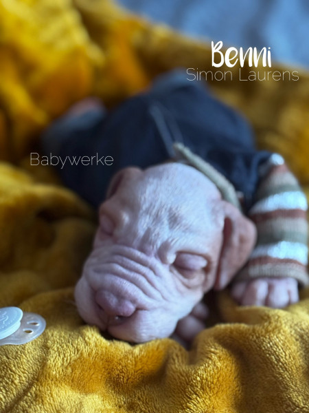 Reserva Benni - Simon Laurens product foto