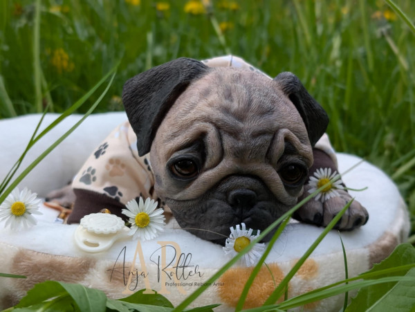 Pre-order Monty - Simon Laurens product foto