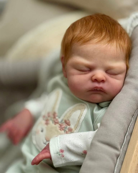 Kit Adelaide de Samantha L. Gregory Foto del producto