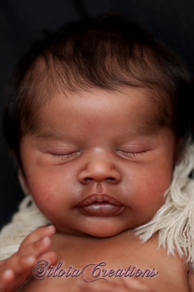 Précommande kit Eva - Priscila Lopez Photo du produit