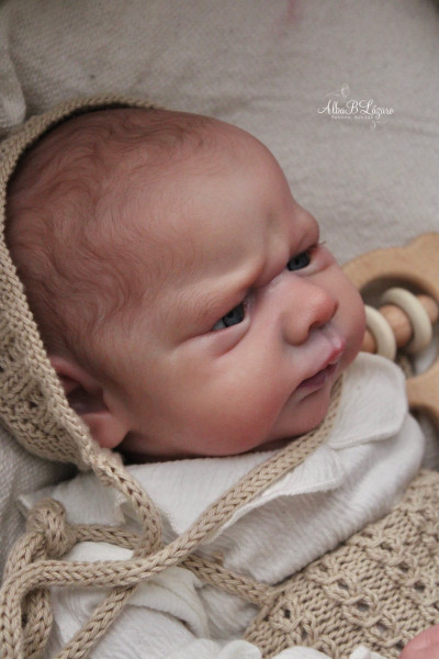 Kit de reserva Kobi - Doris Moyers-Hornbogen Foto del producto