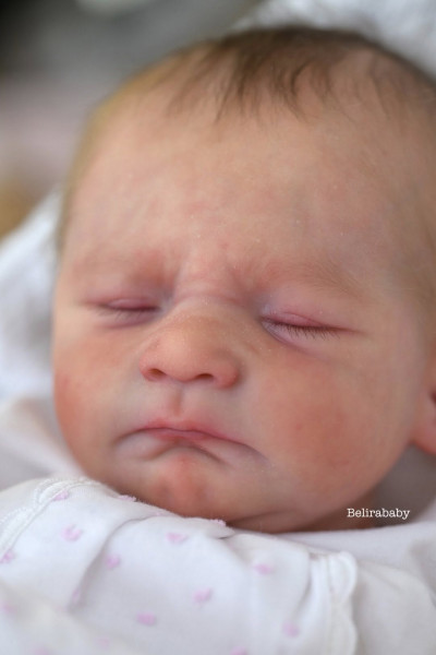 Pre-order Kit Frizzle - Severine Piret-Mercier product foto