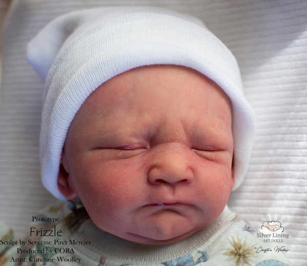 Pre-order Kit Frizzle - Severine Piret-Mercier product foto