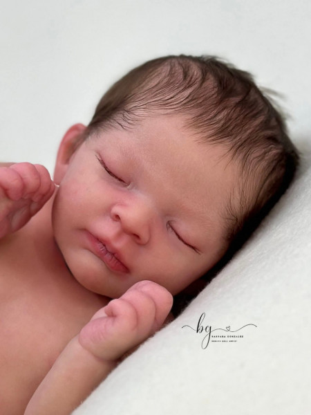 Précommande - Triplé Reborn Ren - AK Kitagawa photo du produit