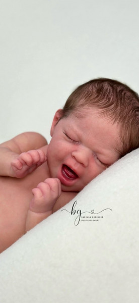 Pre-orden – Trillizo Reborn Aoi – AK Kitagawa Foto del producto