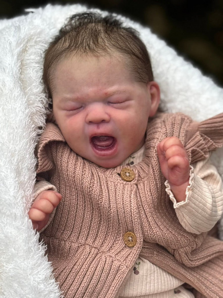 Précommande – Triplé Reborn Aoi – AK Kitagawa Photo du produit