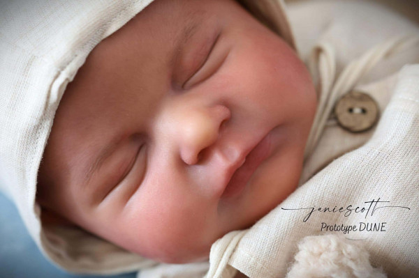 Pré-order Kit Dune - Sheila Mrofka product foto