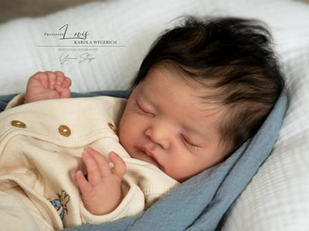 Kit de reserva Lovis Karola Wegerich product foto