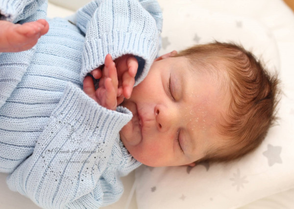 Pre-order kit Gregory - Sabine Altenkirch-Junkes product foto