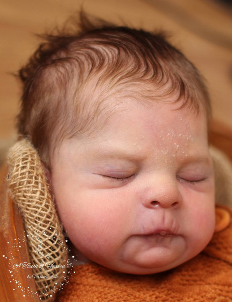 Pre-order kit Gregory - Sabine Altenkirch-Junkes product foto