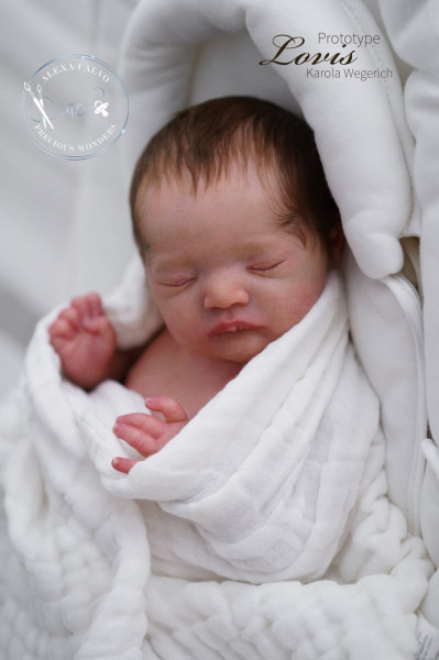 Pre-order Kit Lovis - Karola Wegerich product foto