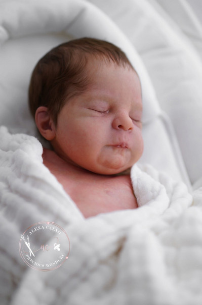 Pre-order kit Gregory - Sabine Altenkirch-Junkes product foto