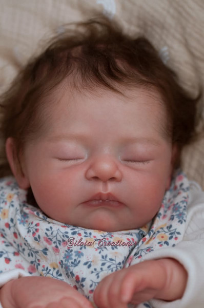 Pre-order Seren - Estibaliz Alonso Vega product foto