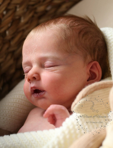 Pre-order kit Ilea - Olga Auer product foto