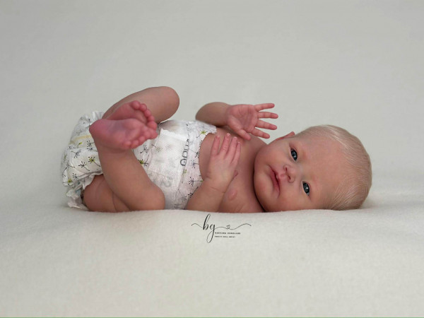 Preorden kit Nika – Melanie Gebhardt Foto del producto