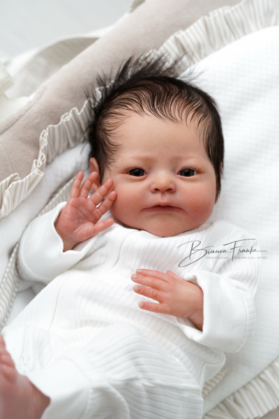 Précommande kit Nika - Melanie Gebhardt Photo du produit