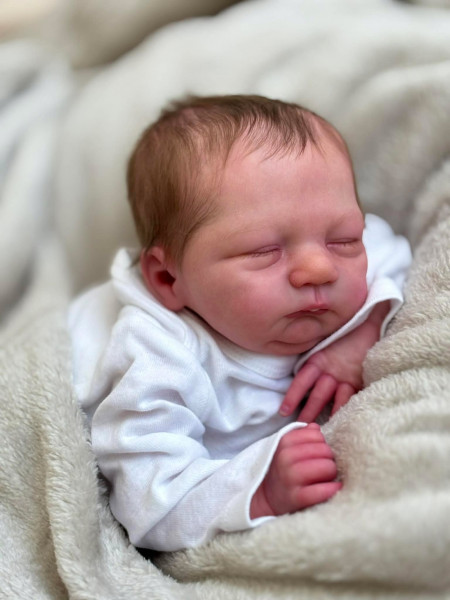 Preorden del kit Logan por Severine Piret Mercier product foto