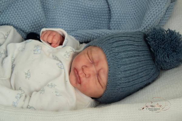 Kit Enno Reborn - Melanie Gebhardt product foto