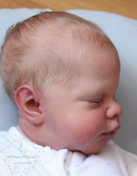 Pre-order Reborn Kit Maxan - Doris Moyers-Hornbogen product foto