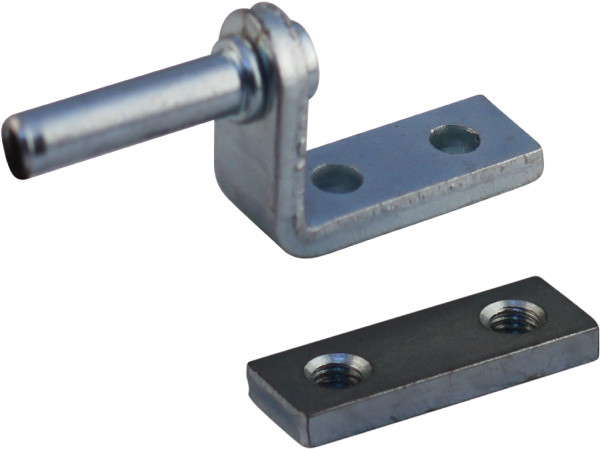 Scharnierpen scharnierpen + tegenplaat tegenplaat verzinkt h.o.h. 30mm