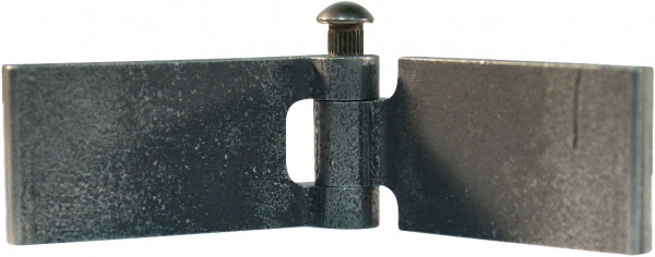 Recht portierscharnier met stalen pen 30 x 60mm scharnierblad blank