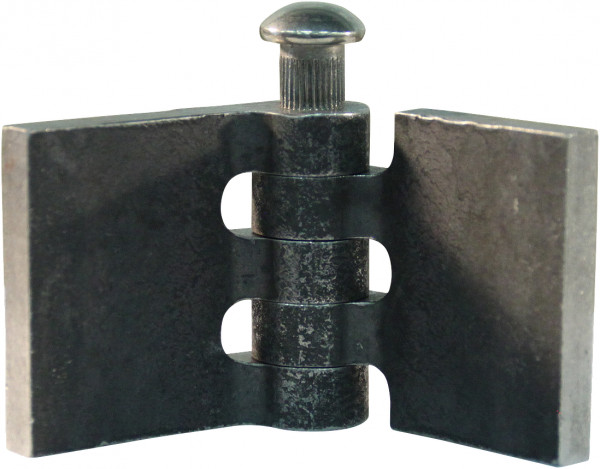 Recht portierscharnier met rvs pen 40 x 40mm scharnierblad blank