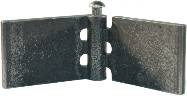 Recht portierscharnier met rvs pen 40 x 60mm scharnierblad blank