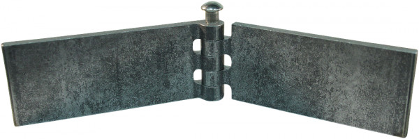 Recht portierscharnier met rvs pen 50 x 120mm scharnierblad blank