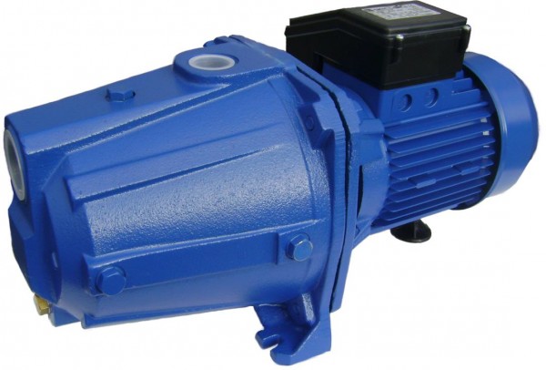 Ebara AGA 150 M - selbstansaugende Kreiselpumpe -230 Volt