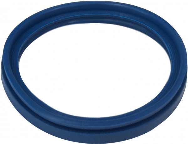 Tank Truck Coupling - Lipgasket for Crown ring - DN50 - NBR - Blue