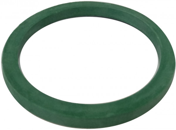 Tank Truck Coupling - Lipgasket for Plug - DN100 - CSM - Green